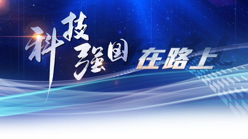 数据安全风险评估：关键步骤与实施要点