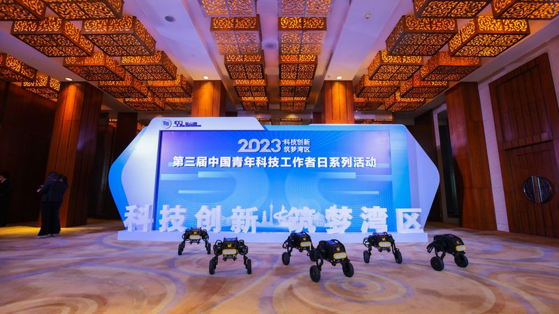 构建高效互联网技术学习路线图：从入门到精通**